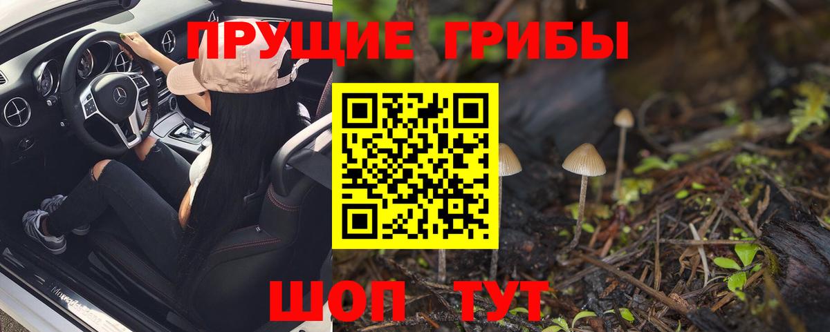 Галлюциногенные грибы прущие грибы Волжск